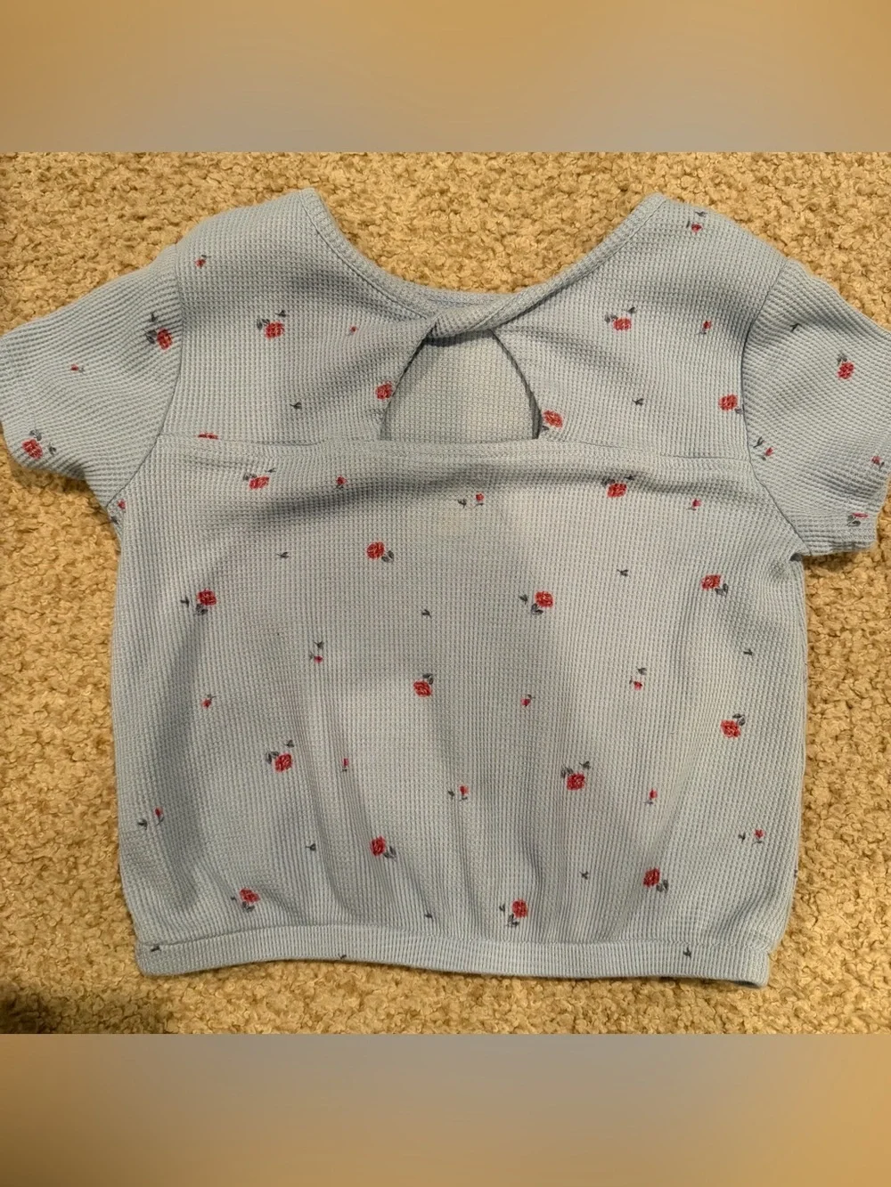 OshKosh B'gosh Light Blue Knit Tee with Red Floral Print